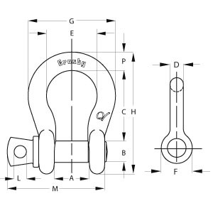 Screw Pin Anchor Shackles - Diagram